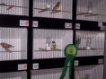 /album/fotogaleria/februar-2013-131-jpg/
